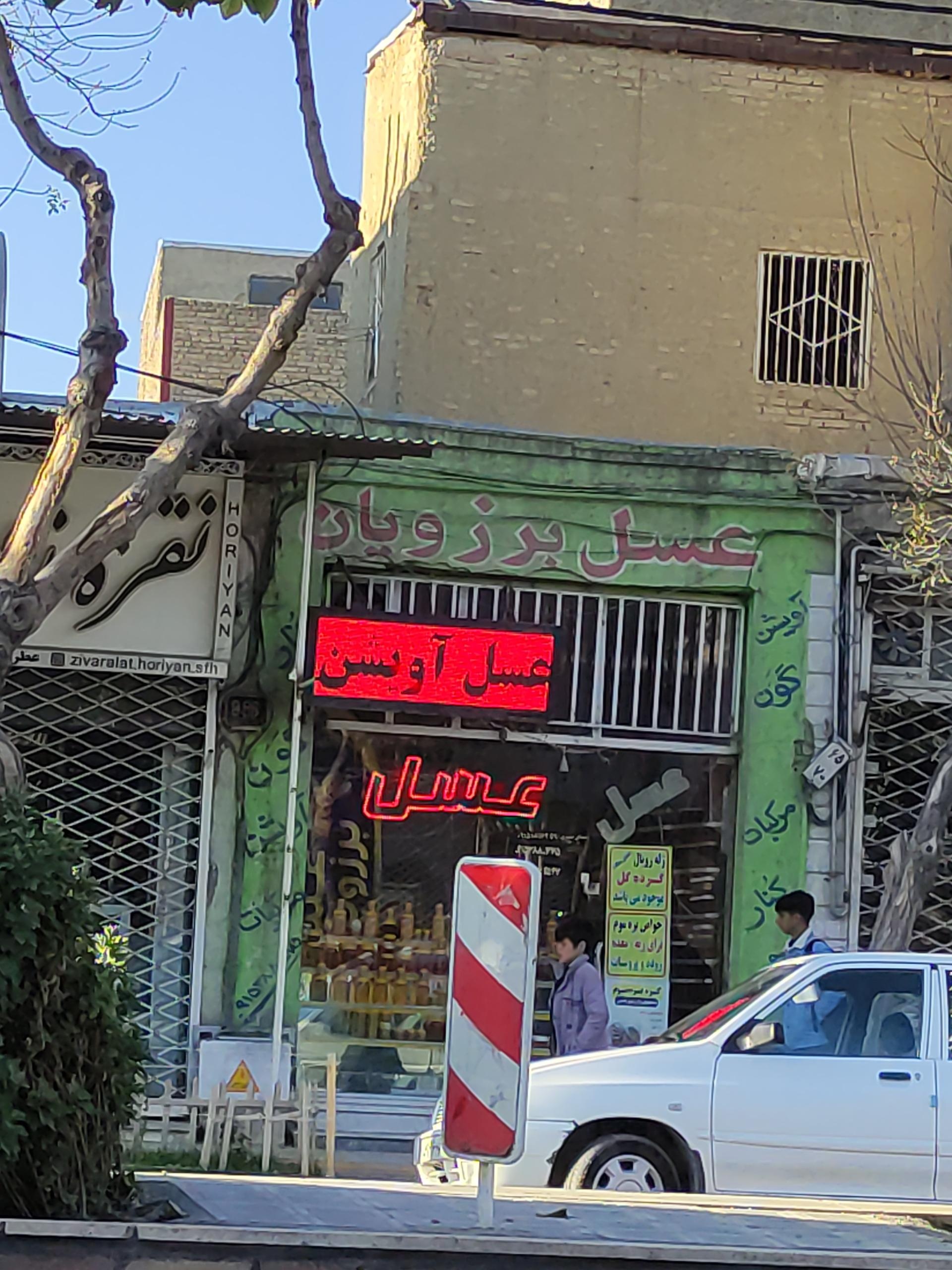 عکس عسل برزویان