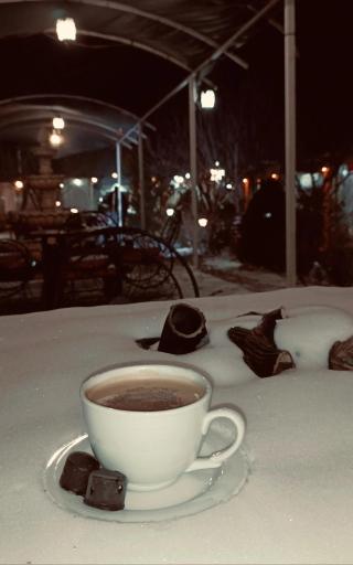 عکس کافه باغ ویان