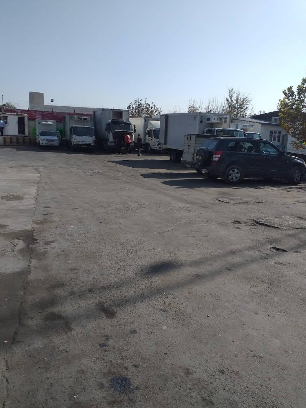 عکس ترابری مهیا پروتئین 