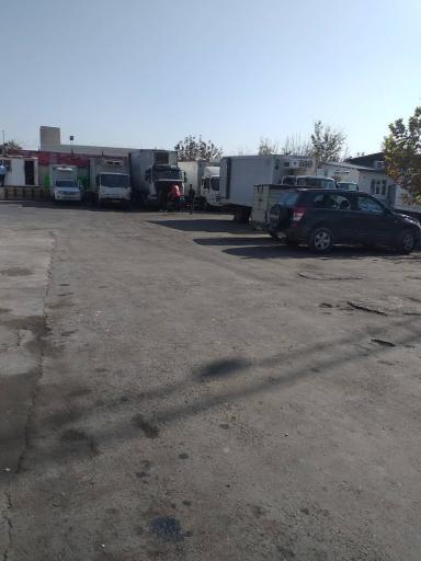 عکس ترابری مهیا پروتئین 