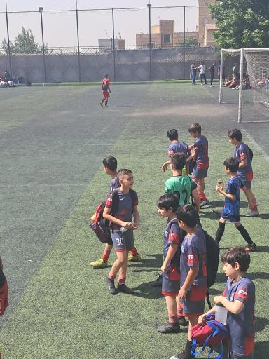 عکس زمین چمن مصنوعی کوه پای