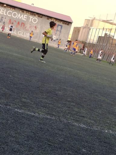 عکس زمین چمن مصنوعی کوه پای