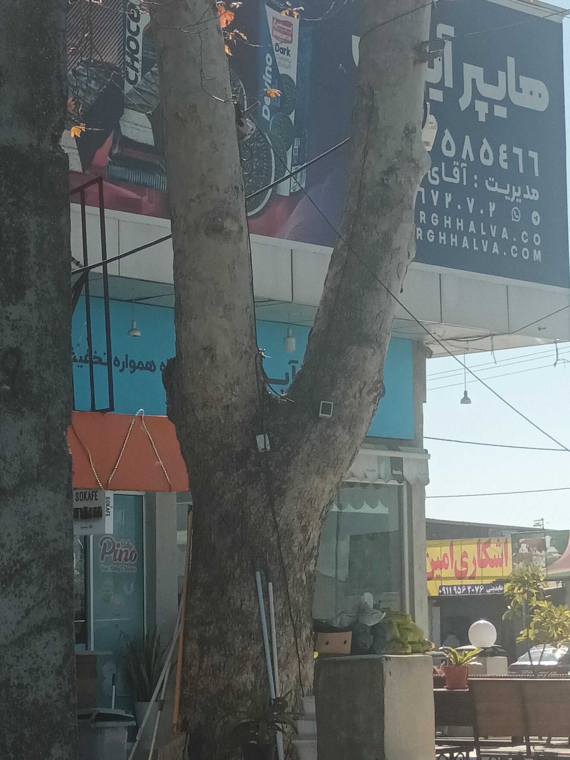 عکس هایپر مارکت آیدین