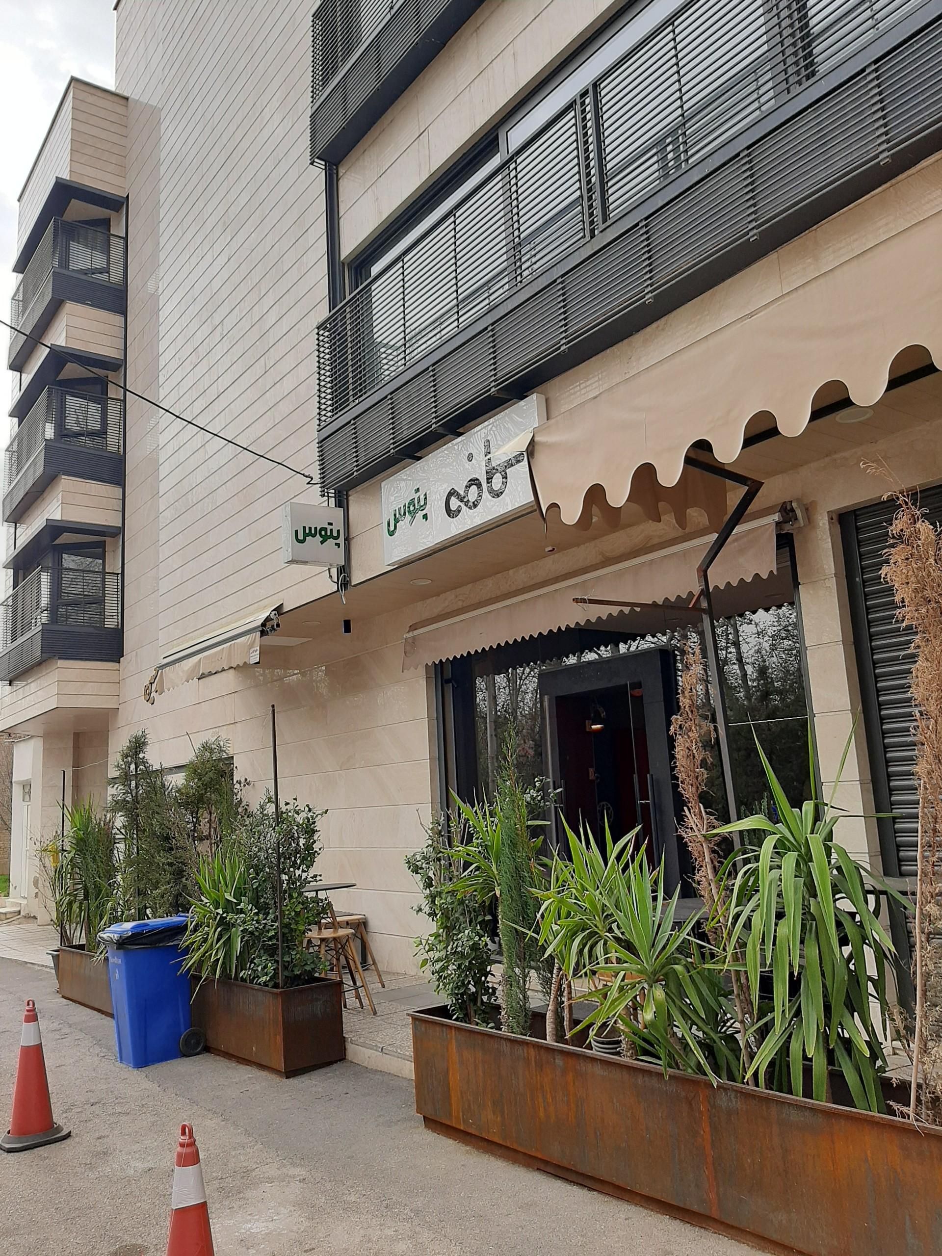 عکس کافه پتوس