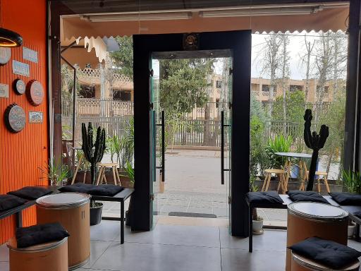 عکس کافه پتوس