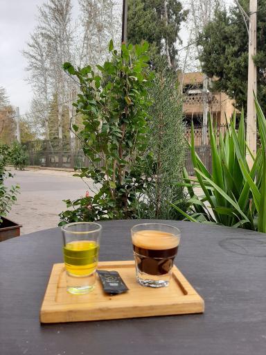 عکس کافه پتوس