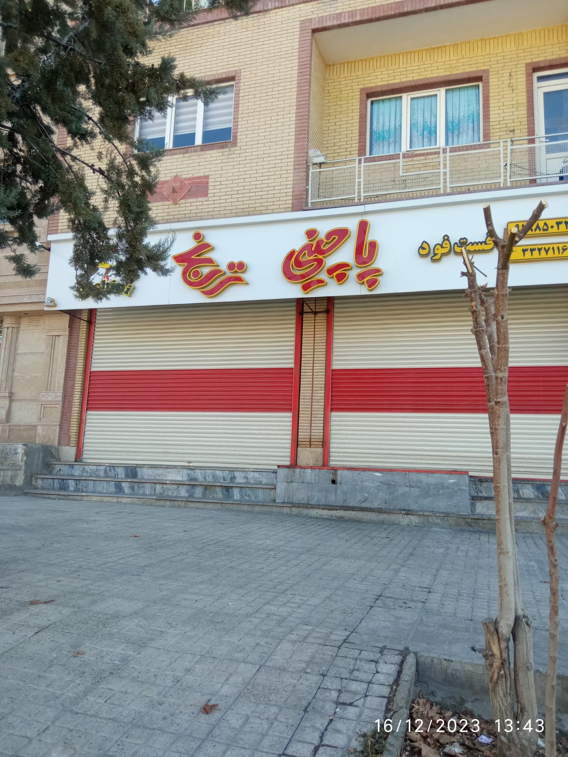 عکس پاچینی ترنج