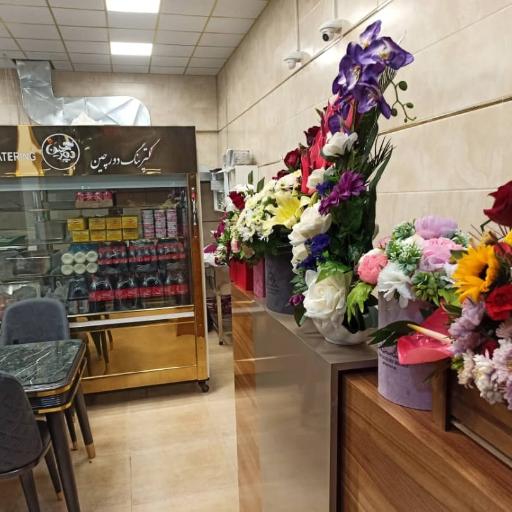 عکس کترینگ دورچین