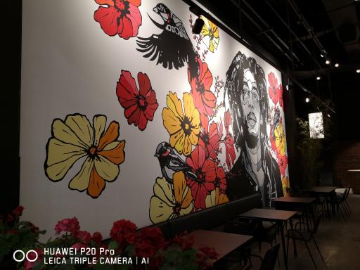 عکس باکیبال