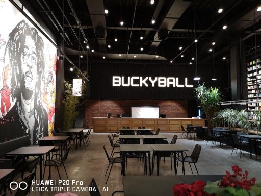 عکس باکیبال