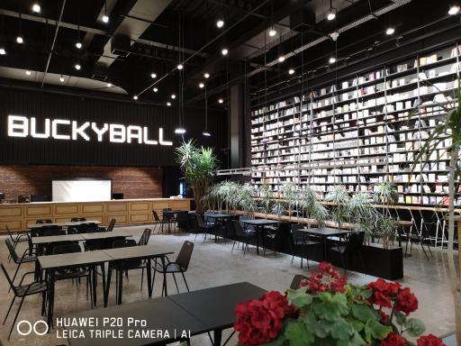 عکس باکیبال