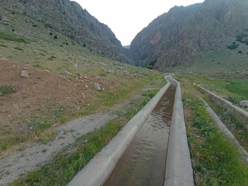 عکس حشوید