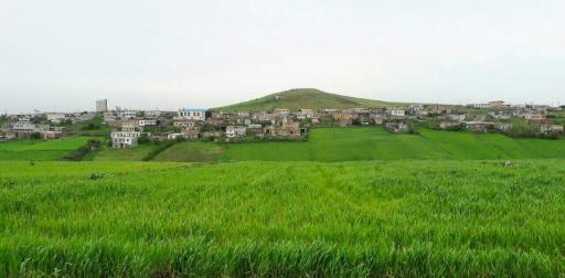 عکس کله سر