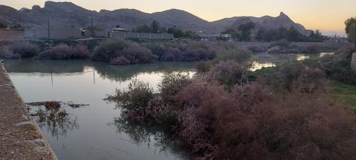 عکس بند امیر