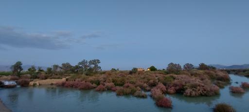 عکس بند امیر