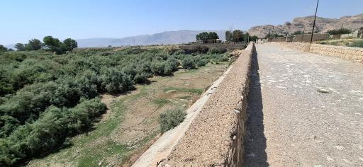 عکس بند امیر