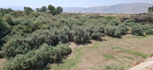 عکس بند امیر