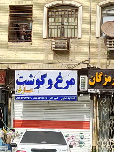 عکس مرغ و گوشت عارف