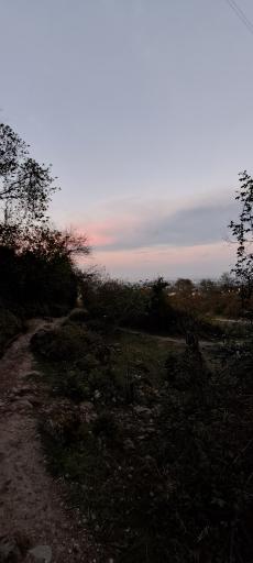 عکس جنگل چلندر