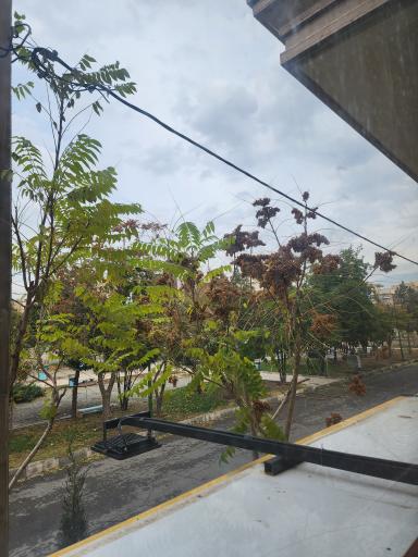 عکس کافه ریبار