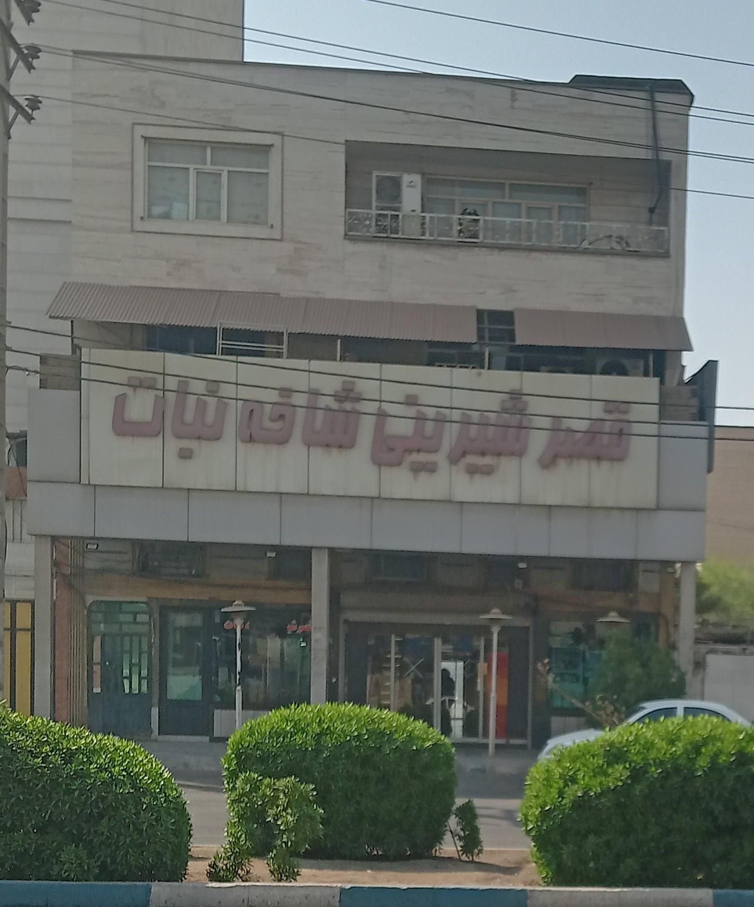 عکس شیرینی سرای شاخه نبات