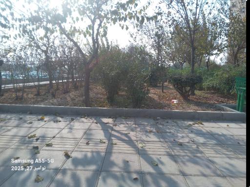 عکس پارک بابونه