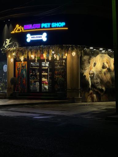 عکس پت شاپ ملو