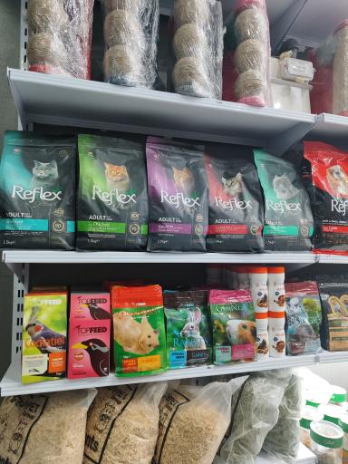 عکس پت شاپ پشمالو ها شعبه 2