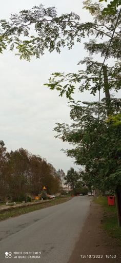 عکس پارک طالب آباد