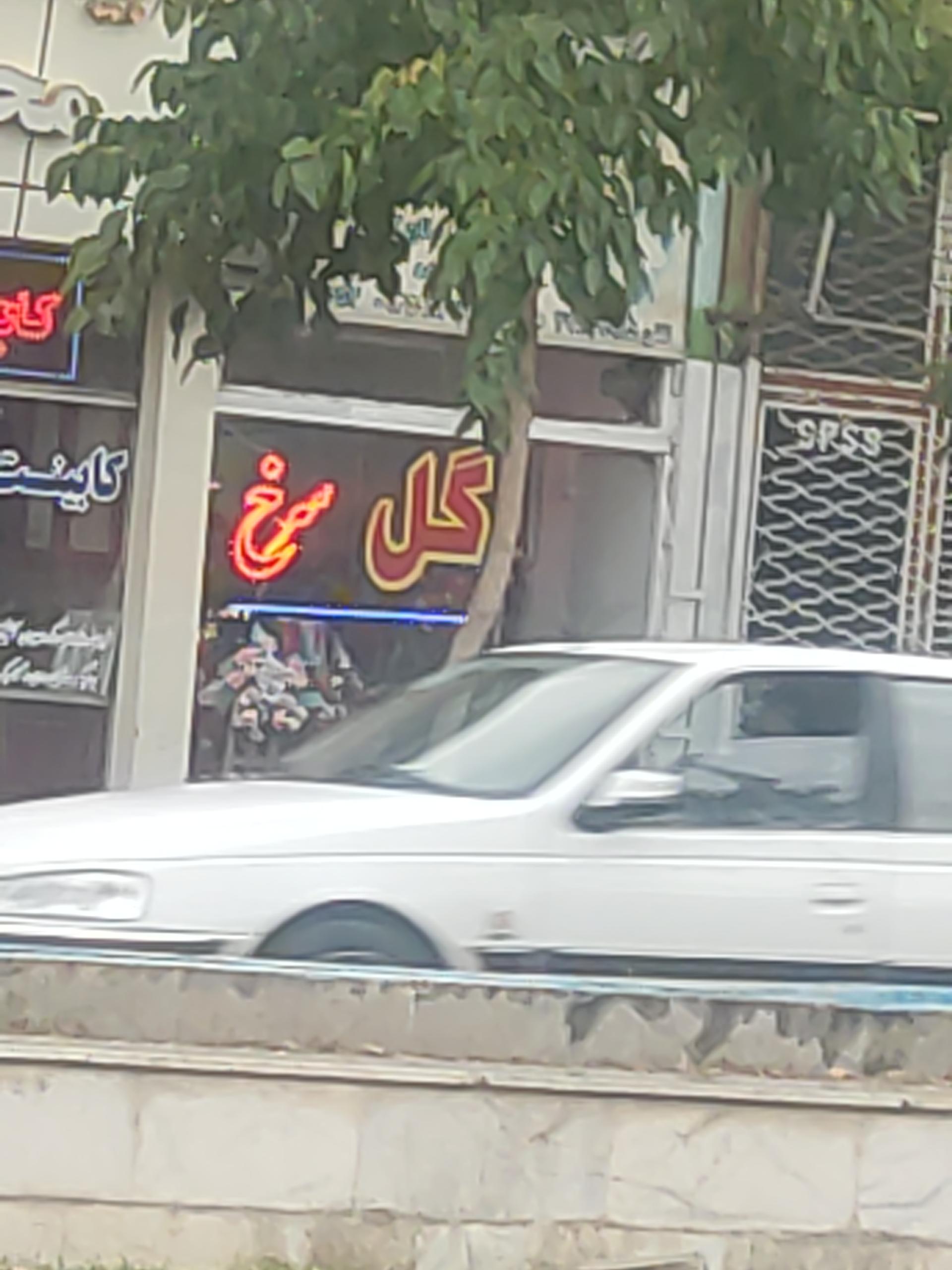 عکس گل فروشی گل سرخ 