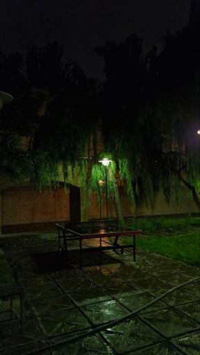 عکس پارک سیدالشهدا