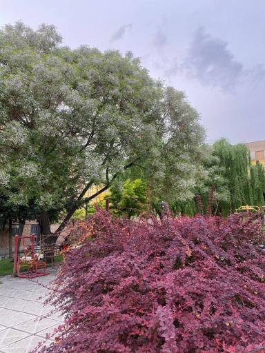 عکس پارک سیدالشهدا
