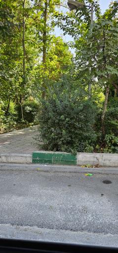 عکس بوستان سنگسر