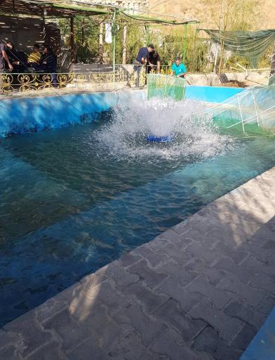 عکس ماهی سرای دنج