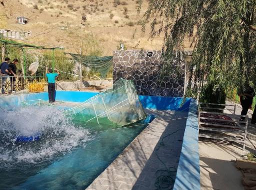 عکس ماهی سرای دنج