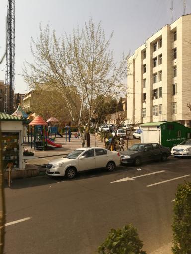 عکس بوستان میرزای شیرازی