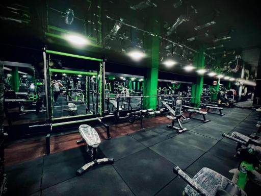 عکس مجموعه ورزشی هامر