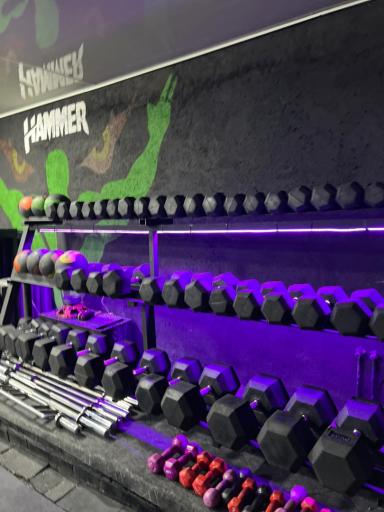 عکس مجموعه ورزشی هامر