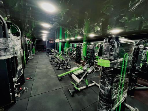 عکس مجموعه ورزشی هامر