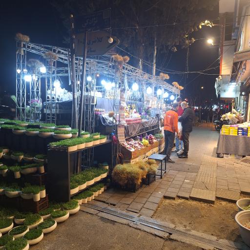 عکس بوستان میرزای شیرازی