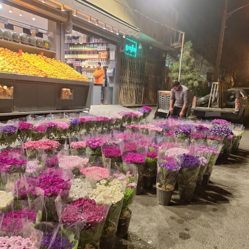 عکس بوستان میرزای شیرازی