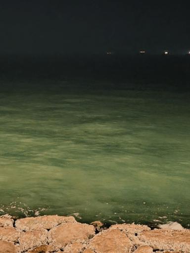 عکس پارک ساحلی غدیر