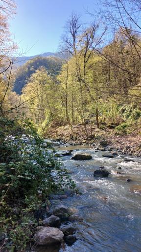 عکس خان ببین