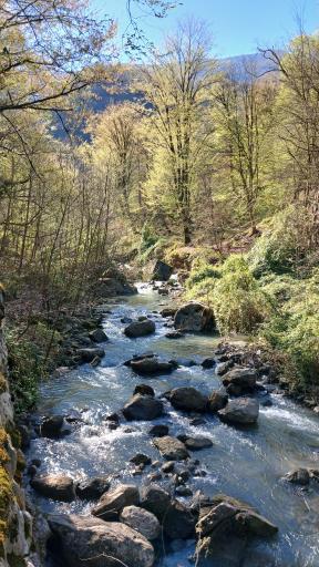 عکس خان ببین