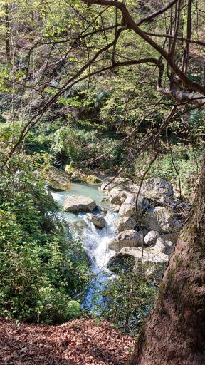 عکس خان ببین