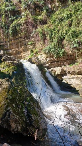 عکس خان ببین