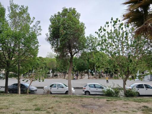 عکس بوستان چشمه علی