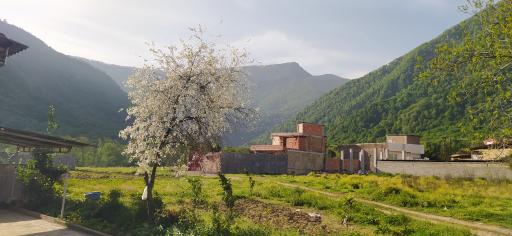 عکس خان ببین