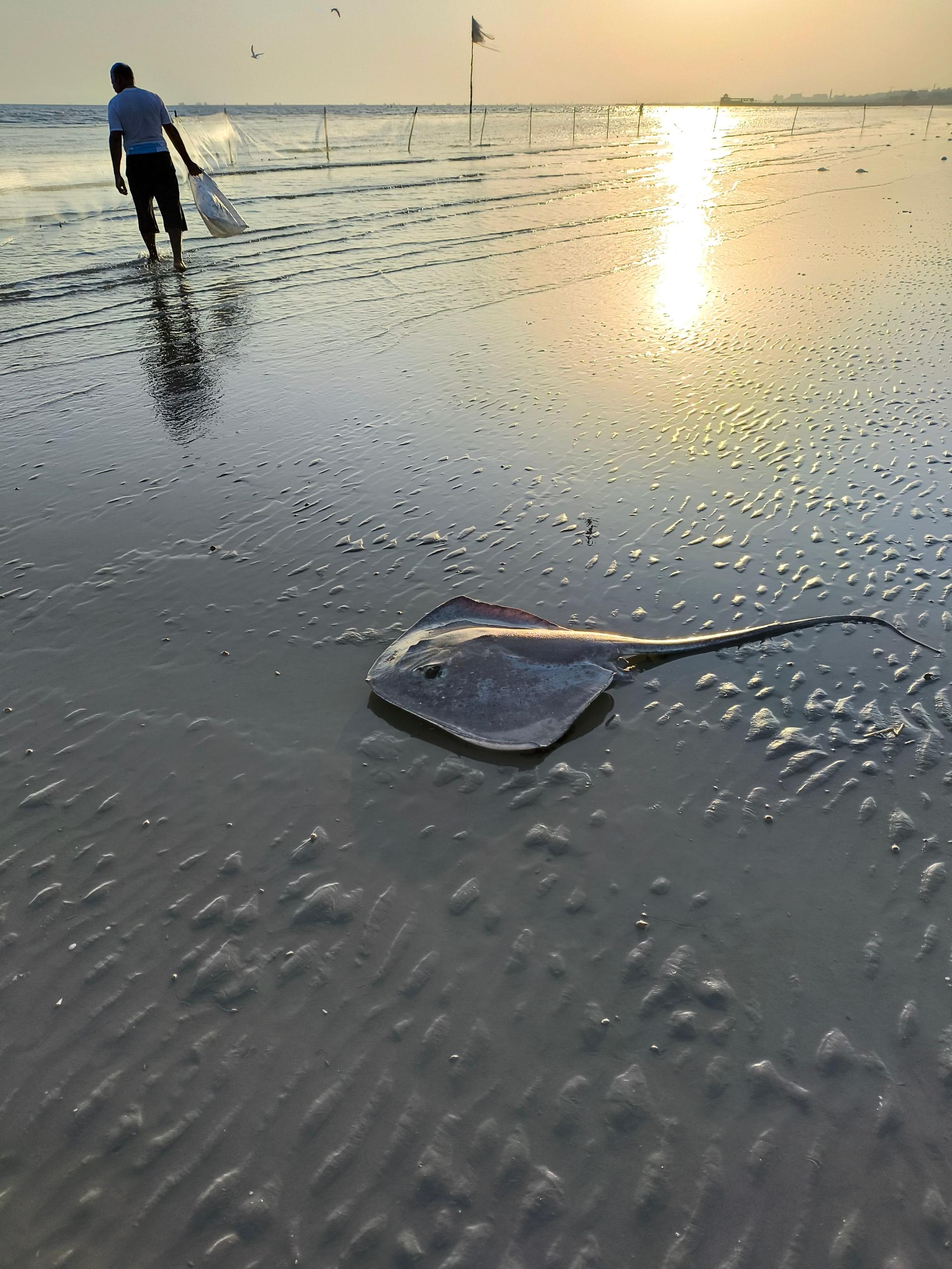 عکس پارک ساحلی غدیر