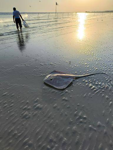 عکس پارک ساحلی غدیر